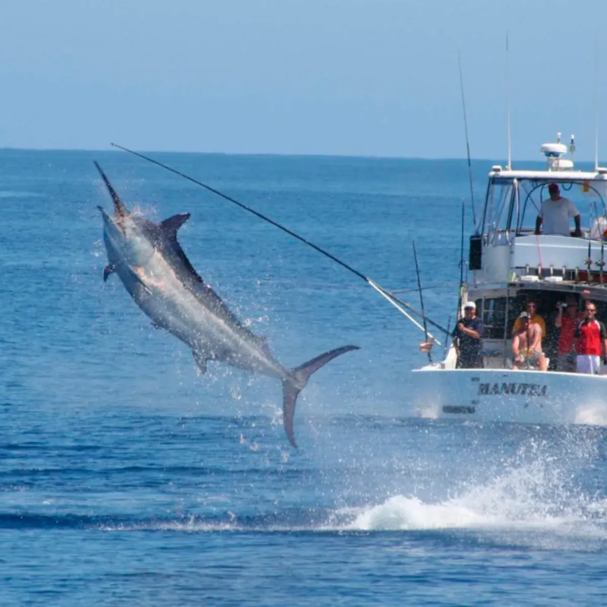 sport-fishing-in-los-ayala