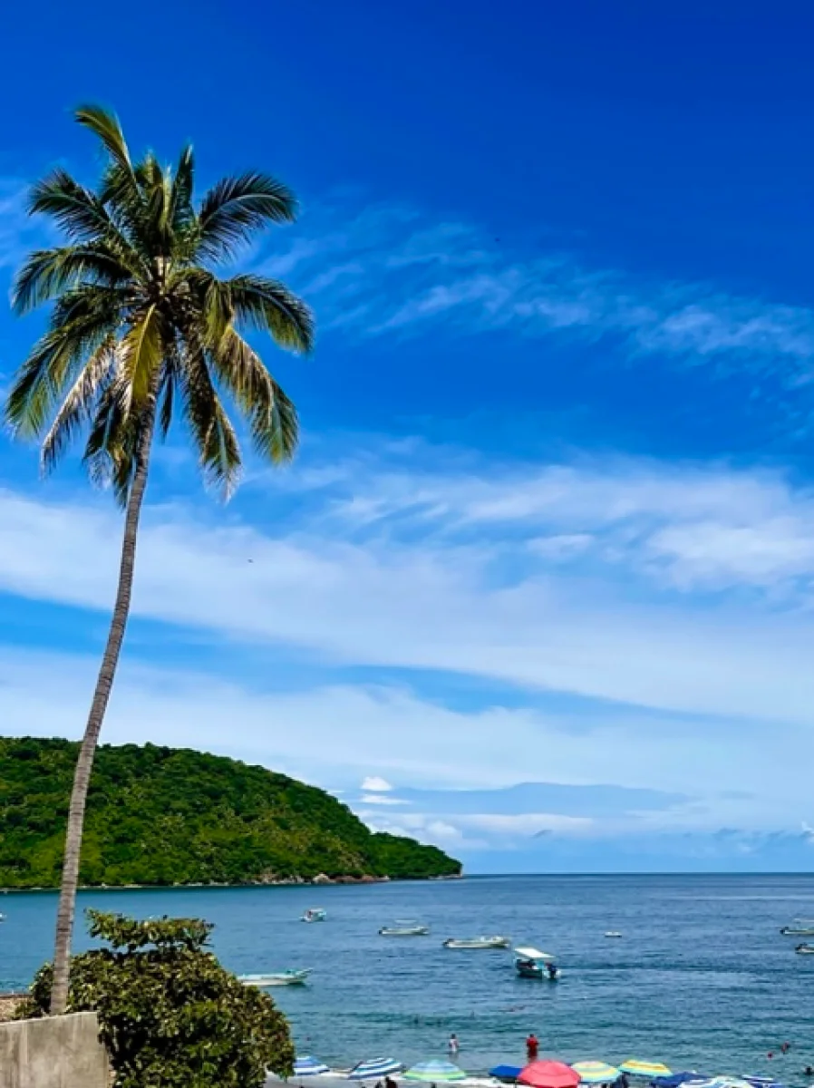 playa-con-palmera-y-cielo-despejado